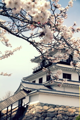 桜castle