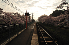 桜ホーム