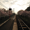 桜ホーム