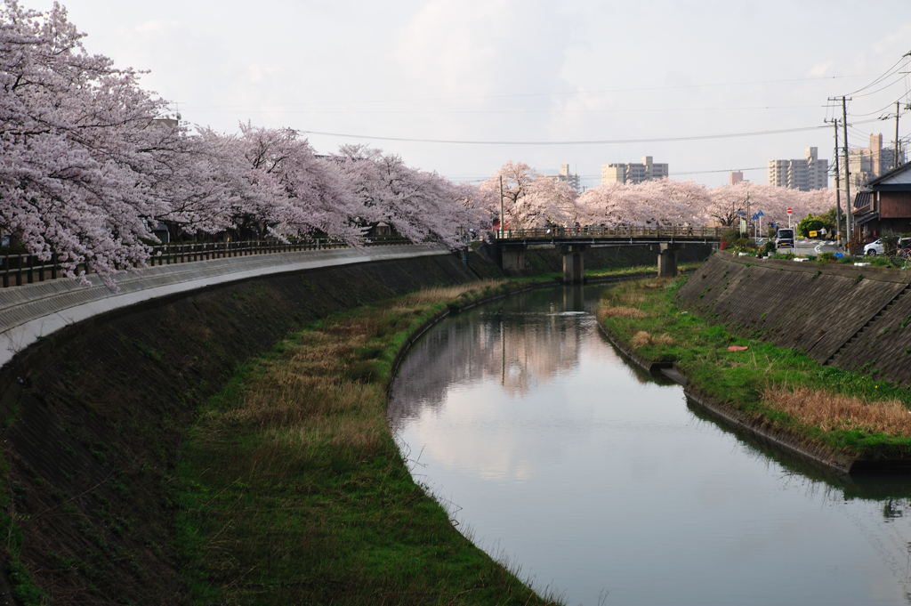袋川