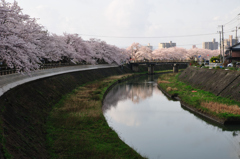 袋川