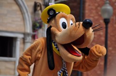 TDS イースター・イン・ニューヨーク