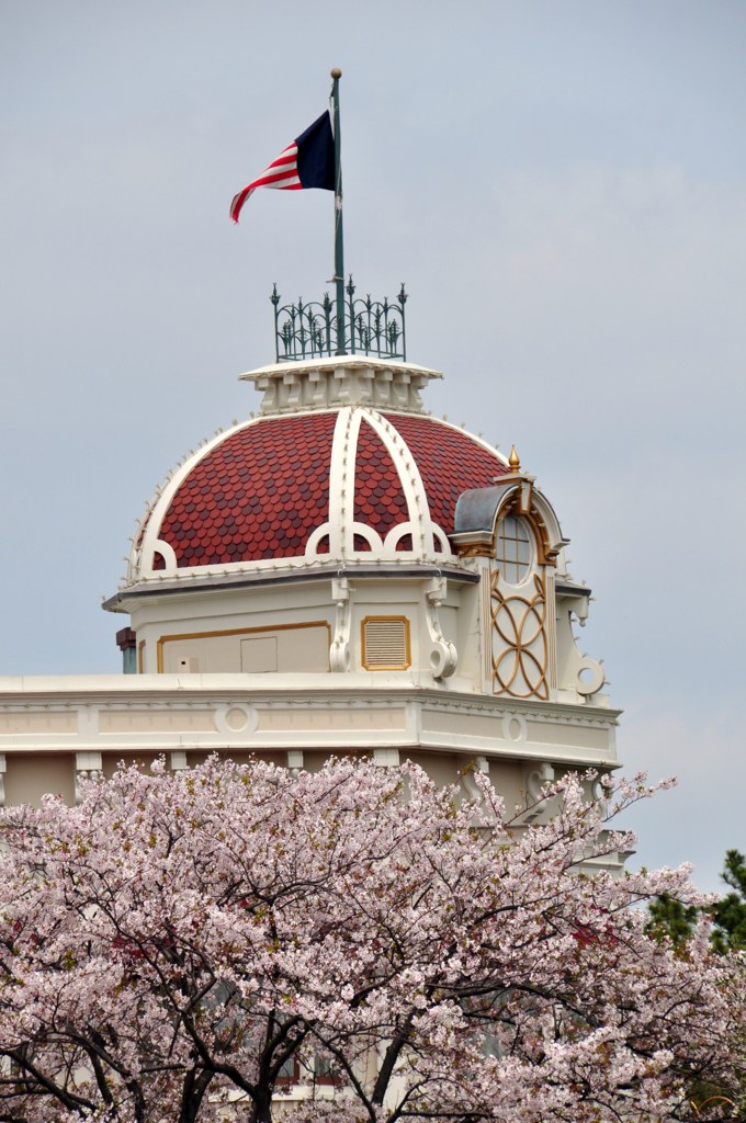 ディズニーランドの桜