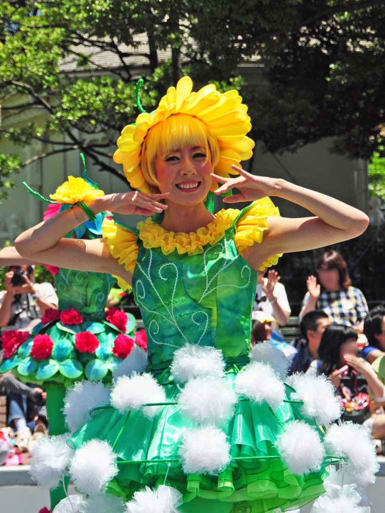 タンポポのダンサーさん