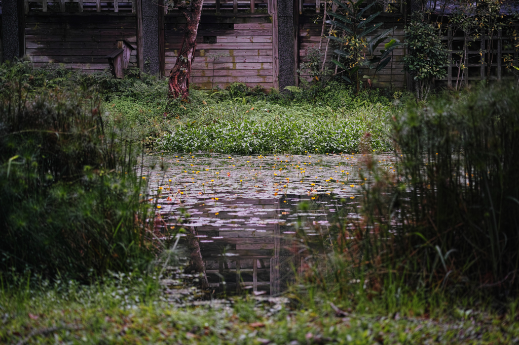 静かなる池