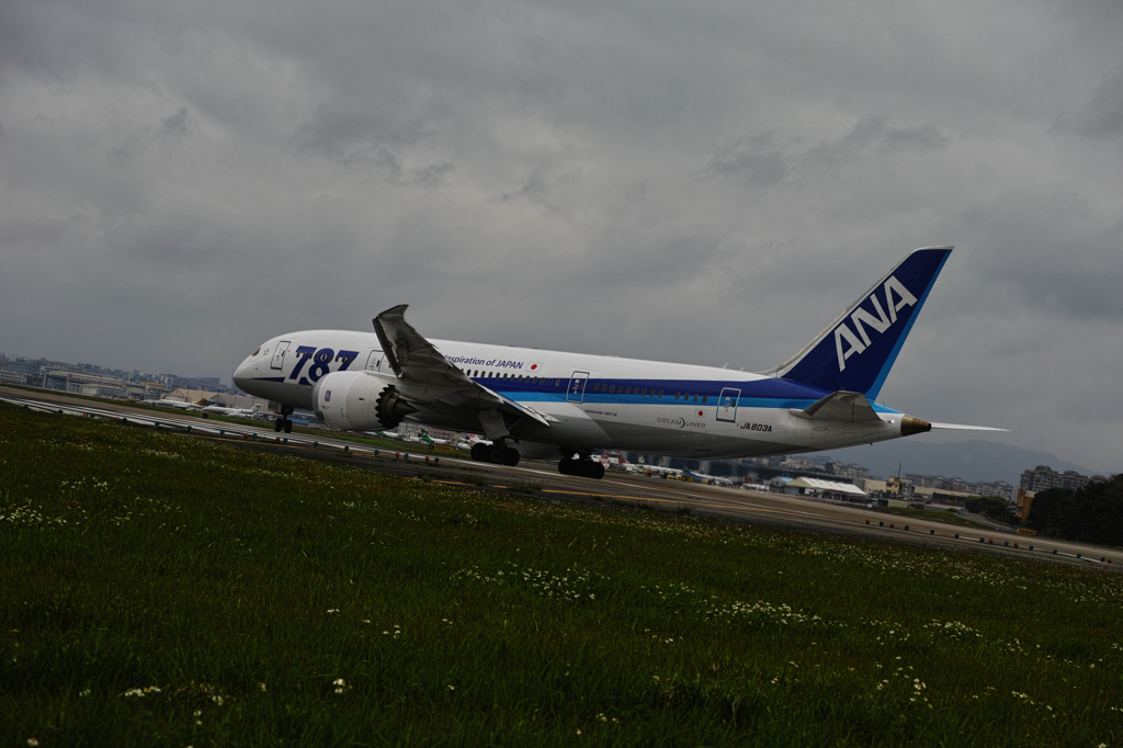 ANA