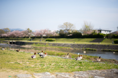 春の日差し