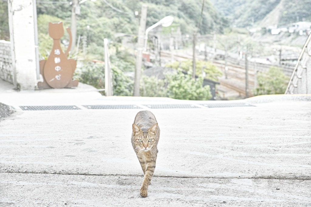美WALK