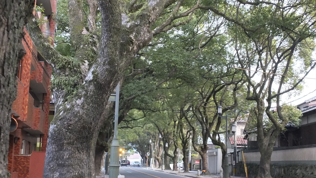 香椎参道20120329