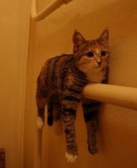 IMG_1951
