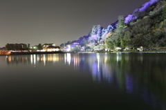 花灯路