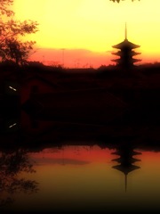 京都のお気に入り