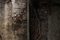 Root