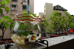 Fish in a bowl