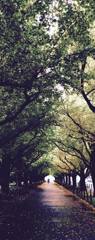 path