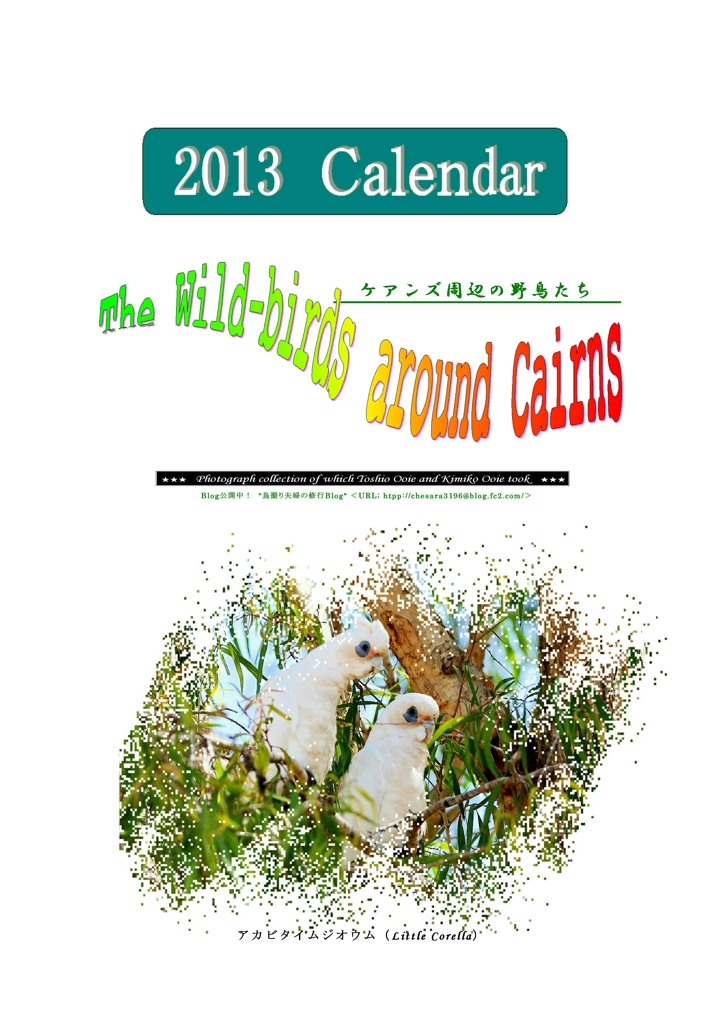 2013カレンダー表紙