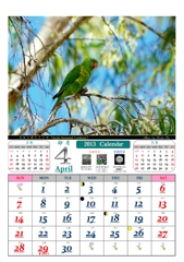 4月