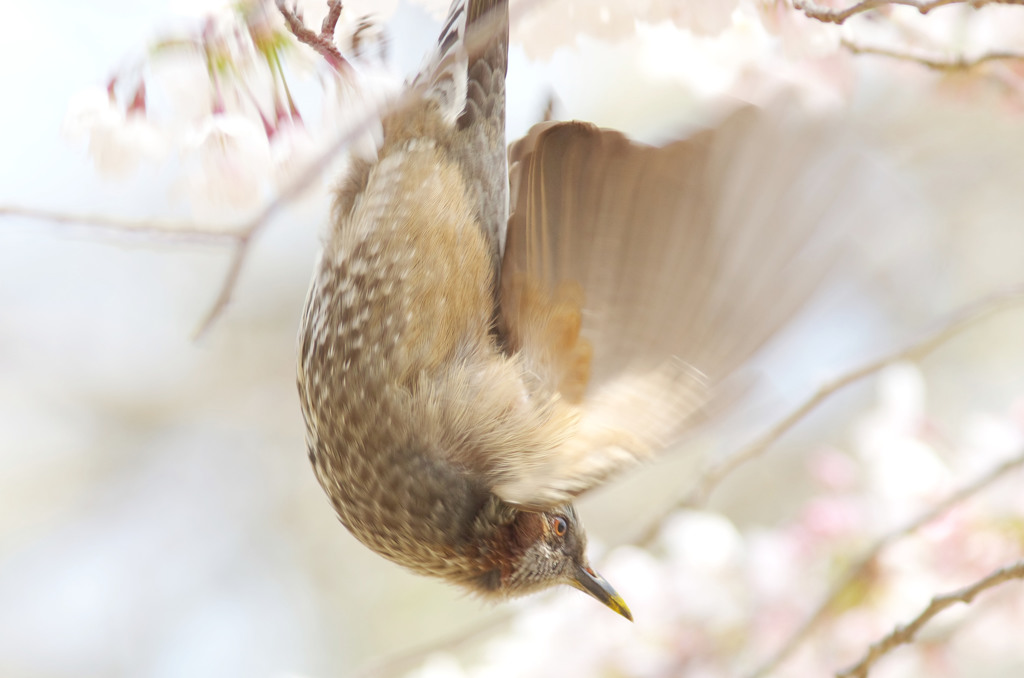 溶け込んで・・・