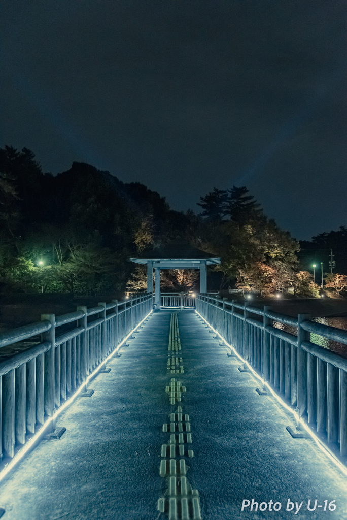 光の道