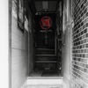 魅惑の暖簾