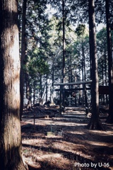 巴山白鬚神社