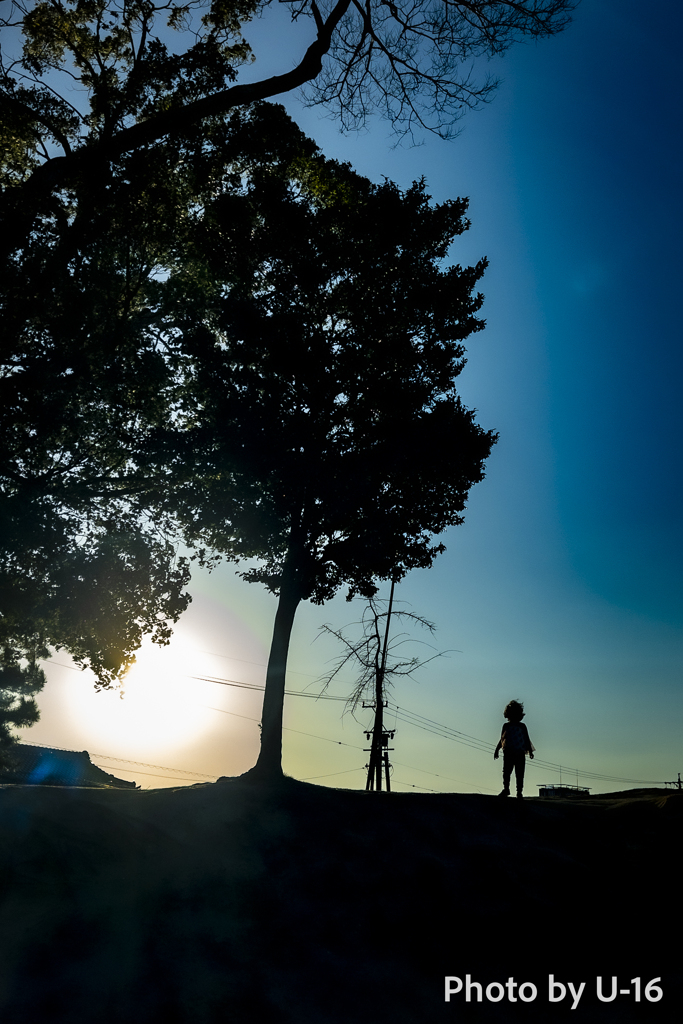 silhouette
