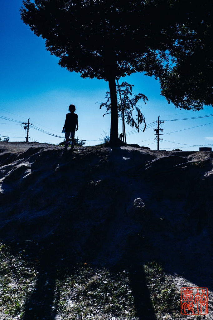silhouette and shadow