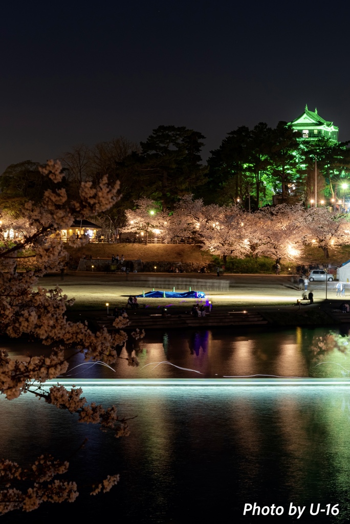 岡崎桜まつり②