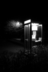 公衆電話と夜桜