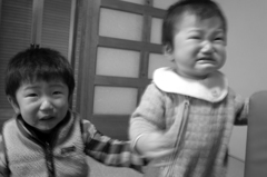 兄弟