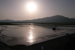水田