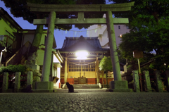 猫と神社