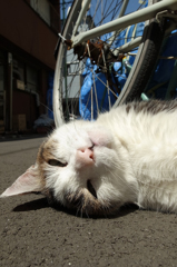 汚れちゃう