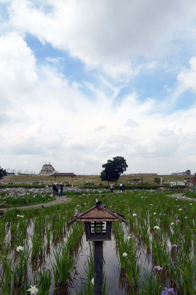 夏の空