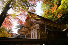 大矢田神社紅葉