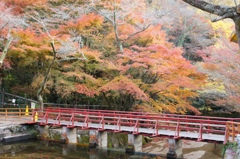 岩屋堂紅葉