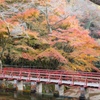 岩屋堂紅葉