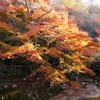 岩屋堂紅葉