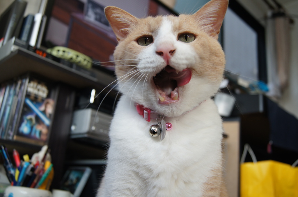 食後
