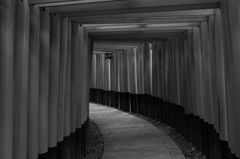 木漏れ日