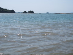 海