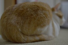 存在感