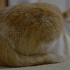 存在感