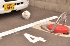 駐車ならぬ駐猫でーす