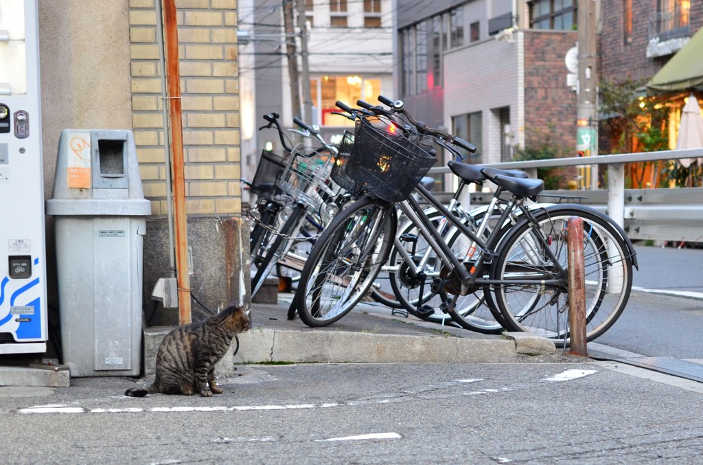 まちぶせ