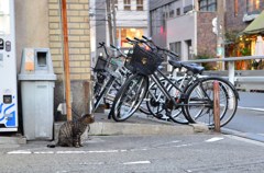 まちぶせ