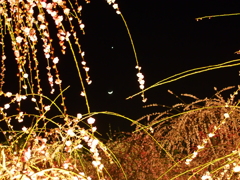 P3260127