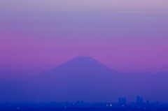 幕張からの富士山