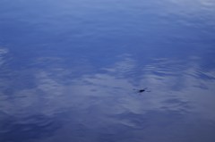 水面