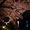 夜桜